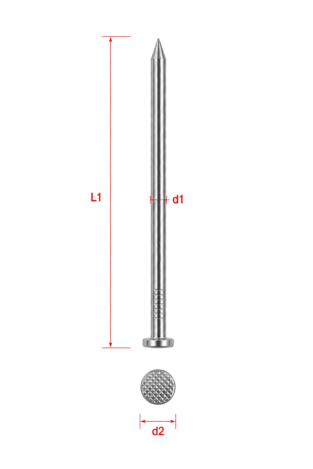 Prego de construção Avelã com medidas